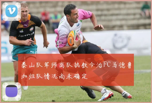 泰山队军师离队执教今治FC马德鲁加归队情况尚未确定
